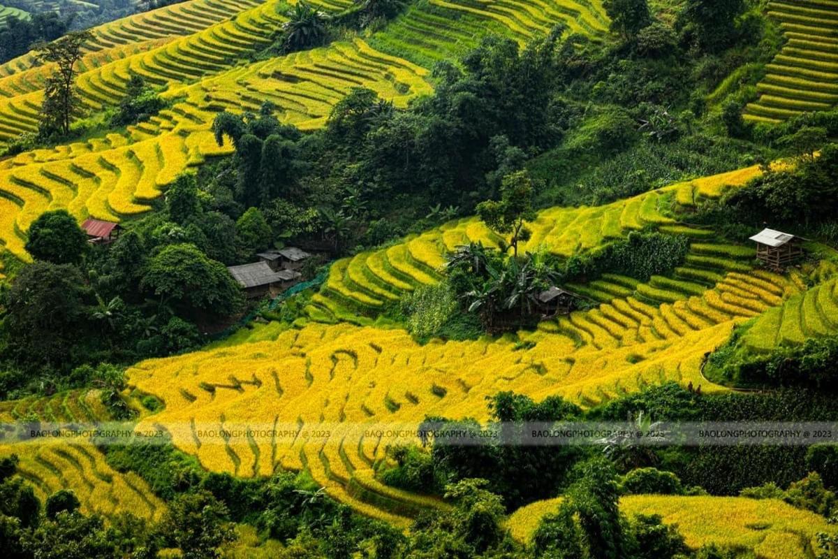Hmong House * Sapa